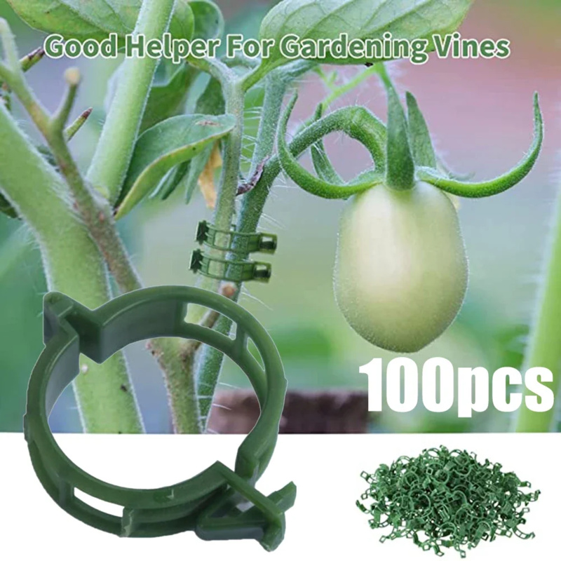 Plant Parent Tools - Clip de soporte para plantas de