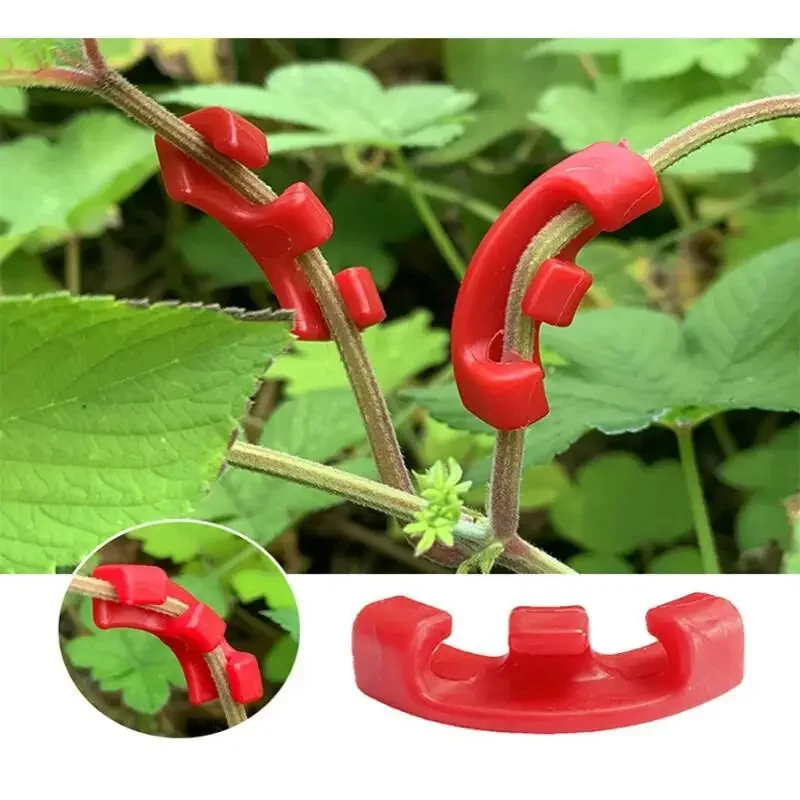 10-100 Piezas de Clips para Do - Plant Parent Tools reseña y precio