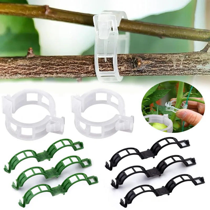 100 Uds Clips de fijación de p - Plant Parent Tools reseña y precio