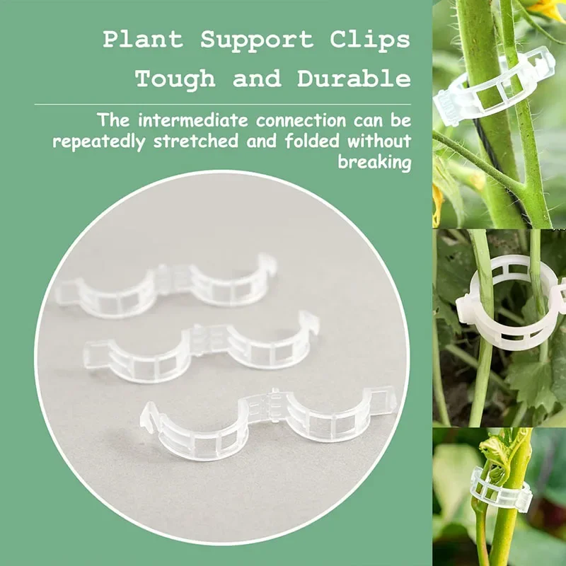 100 Uds Clips de fijación de p - Plant Parent Tools reseña y precio