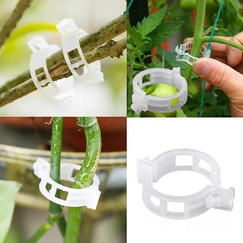 100 Uds Clips de fijación de p - Plant Parent Tools reseña y precio