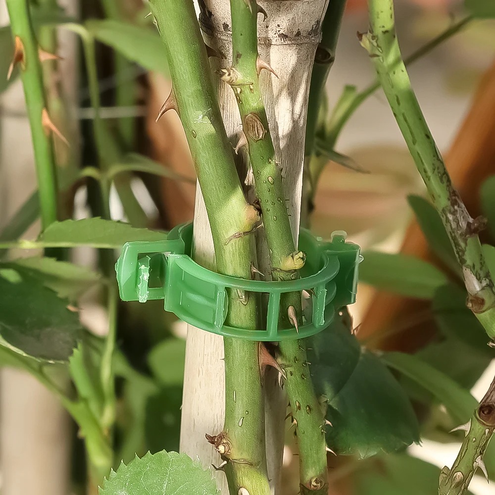 100/10PCS Clips de Soporte par - Plant Parent Tools reseña y precio