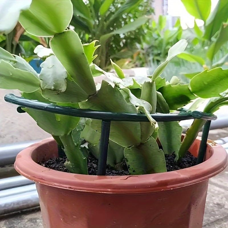 30-1PCS Soporte de Plástico Se - Plant Parent Tools reseña y precio
