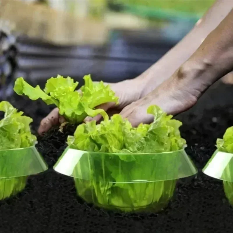 Anillos de protección de lodo  - Plant Parent Tools reseña y precio