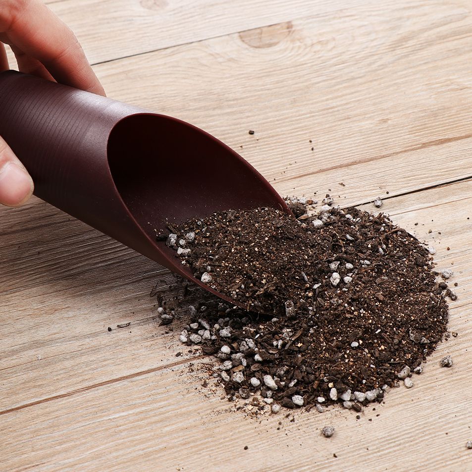 Pala de suelo de plástico para - Plant Parent Tools reseña y precio
